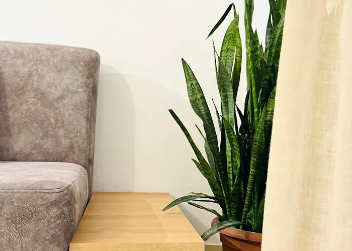 Lägenhet View Tirana